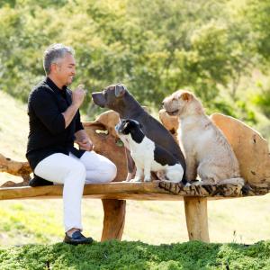 Cesar Millan and the pack