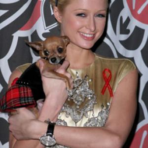 Paris Hilton and Tinkerbell the Dog