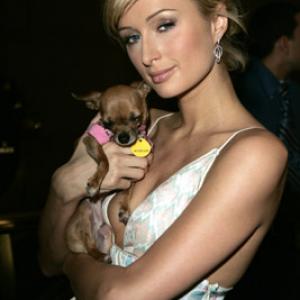 Paris Hilton and Tinkerbell the Dog