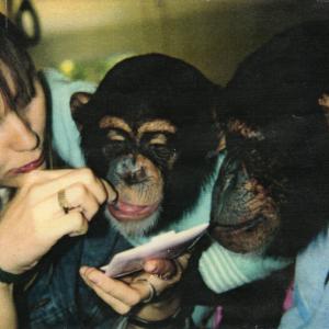 FILMING LIVING WITH CHIMPANZEES