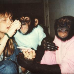 FLAVIA FONTES FILMING LIVING WITH CHIMPANZEES
