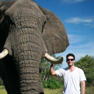 Working in Botswana with elephants
