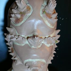 DragonMan sculpt for foam latex appliance for the Short Dragonslayer