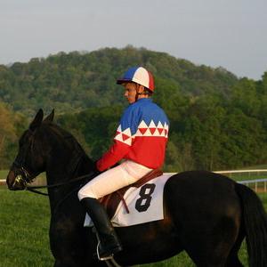 Still photographs of The Derby Stallion