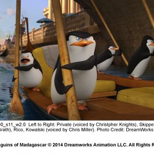 Still of Tom McGrath and Chris Miller in Penguins of Madagascar 2014
