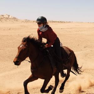 Galloping across the Namib Desert