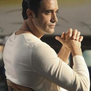 Still of Gilles Marini in Brothers amp Sisters 2006