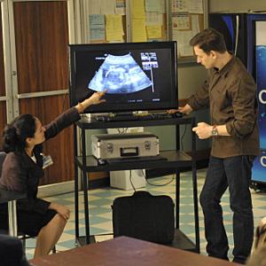Still of Josh Charles and Nicole Shalhoub in The Good Wife 2009