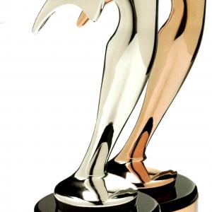 Telly award nomination Best Comedic Actor 