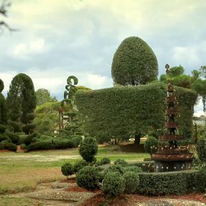 Planting Hope Pearl Fryar Topiary Garden  Master Topiary Surrealist Pearl Fryar campaigns to provide college funding for high school graduates that show promise despite having low test scores and GPAs