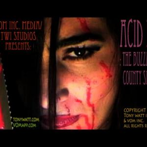 Acid Head (2011) OFFICIAL ACID HEAD (2011)-OFFICIAL Horror Movie Horror Movie POSTER #2 copyright MMIX, TONY WATT & VOM Inc.,Studios Actors: Vivita (Acid Head) All rights reserved