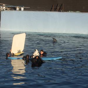 Actor Rich Handley is stranded in the middle of shark infested waters in the South Pacific for the film Indianapolis