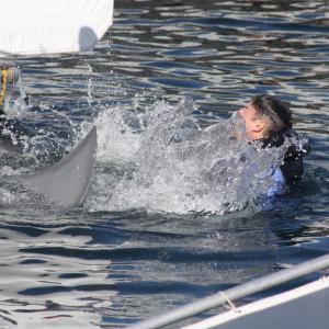 Actor Rich Handley is attacked by killer great white in the film Indianapolis
