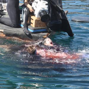Actor Rich Handley is eaten alive by a great white shark for the film Indianapolis