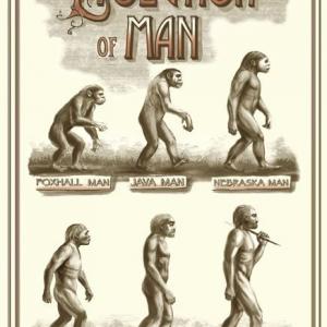 This and several other stunning posters depicting the case for evolution was illustrated by Helen Williams Ward