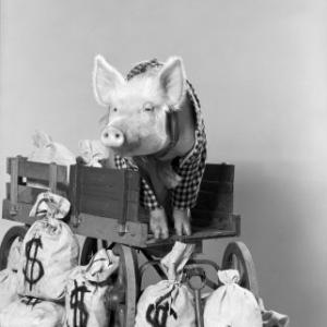 Green Acres Arnold the Pig