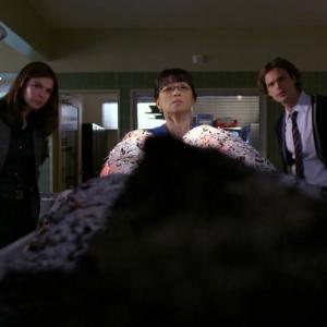 Recurring as Dr Stacey Carroll with Jeanne Tripplehorn Blake and Matthew Gray Gubler Dr Reid CRIMINAL MINDS 807 The Fallen Teleplay by Rick Dunkle Story by Rick Dunkle and Danny Ramm Directed by Doug Aarniokoski