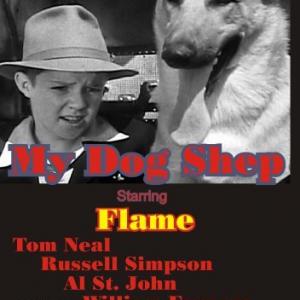 Lanny Rees and Flame in My Dog Shep 1946