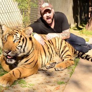 Matt Busch playing with a tiger in Chiang Mai Thailand