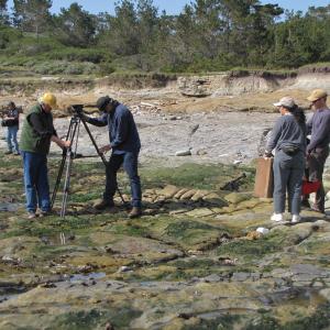 Point Lobos State Park beach - California Forever documentary
