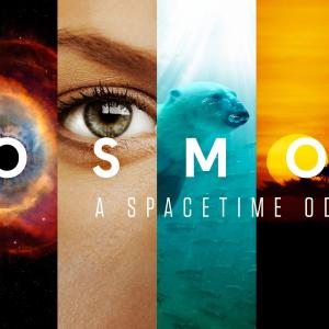 Arrangements  orchestrations for National GeographicFoxs series Cosmos A Spacetime Odyssey