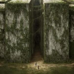Additional music  orchestrations for The Maze Runner from 20th Century Fox