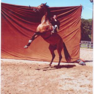 David Copeland & his horse Cinbad for Ralph Lauren