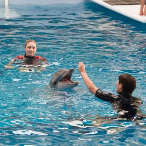 Still of Nathan Gamble and Cozi Zuehlsdorff in Dolphin Tale 2 2014