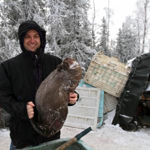 Beaver Shot frozen Fairbanks Alaska 2010