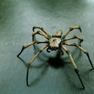 Die Hexen vom Prenzlauer Berg - spider fake - comlete build