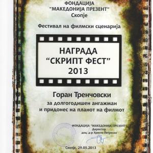Skript Fest Award