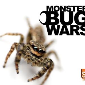 Australian TV director Ian Stevenson directs 'Monster Bug Wars' for Discovery's Science Channel. More at www.ianstevenson.tv