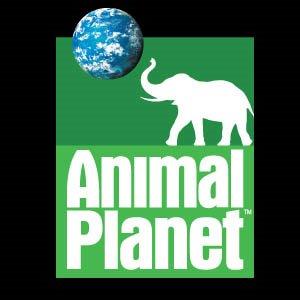 TV director Ian Stevenson directs 'My New Wild Life' for Animal Planet. More at www.ianstevenson.tv