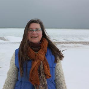 Karen promoting her film on the frozen waters of Lake Michigan