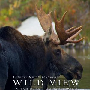 Wild View a Journey to a Wondrous World