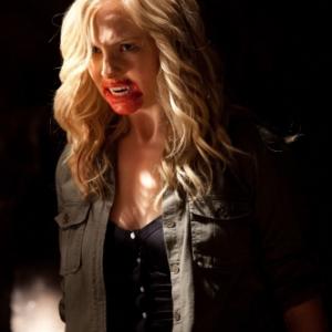 Still of Candice Accola in Vampyro dienorasciai 2009