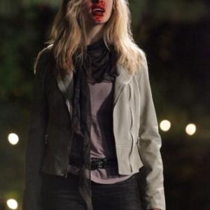 Still of Candice Accola in Vampyro dienorasciai 2009