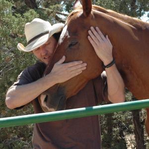 I love horses. This was at a horse rescue in New Mexico.