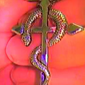 Symbol worn by the Wingmakers Horsemen of the Appocalypse Clarence PeckStephen ArmouraeWarren Bishop Vincent Jerome Felix Minstoock Sunny Moodie