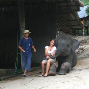 Actress  Filmmaker Inda Reid with BahBah The Elephant Chaing Mai Thailand