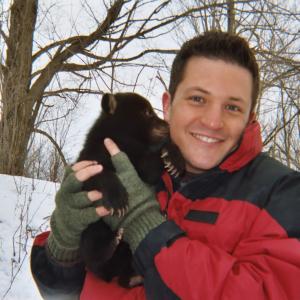 David Mizejewski working with biologists in upstate New York to tag a mother bear and check on health of her newborn cubs. From Animal Planet's Springwatch USA 2007 mini-series.