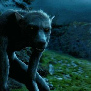 The Werewolf in Harry Potter and the Prisoner of Azkaban