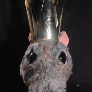 The Rat King for The Longmont Dance Theatres The Nutcracker