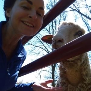 Belle sheep Selfie! Belle Gunness Story