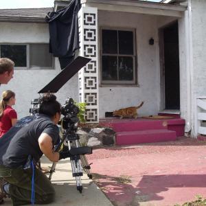 Directing or being directed by a Diva on The Cats Meow