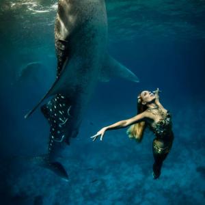 Hannah performing with Whale sharks in Tears of A Mermaid documentary