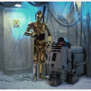 C-3PO and R2-D2 at Star Wars Celebration V in Orlando, FL (Chris F. Bartlett as C-3PO and Kris Sanders as R2-D2)