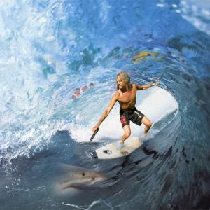 Shark Killer......Laird Hamilton told me-Boy, go out to the 70 footers. Bring your .45 cause there's Sharks out there.