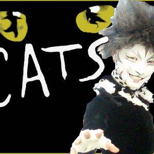 Talon Ackerman plays the role of Admetus in The AEA Production of Cats  Tuacahn Ampitheatre SUmmer 2010 in rep with Disneys Tarzan