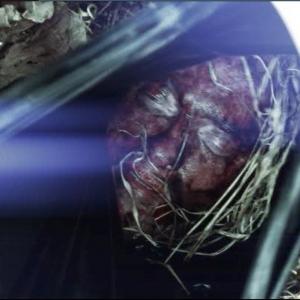 Head in plastic bag scene from Evil Kin series 2013